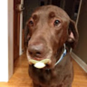 Meet your Posher, Becky